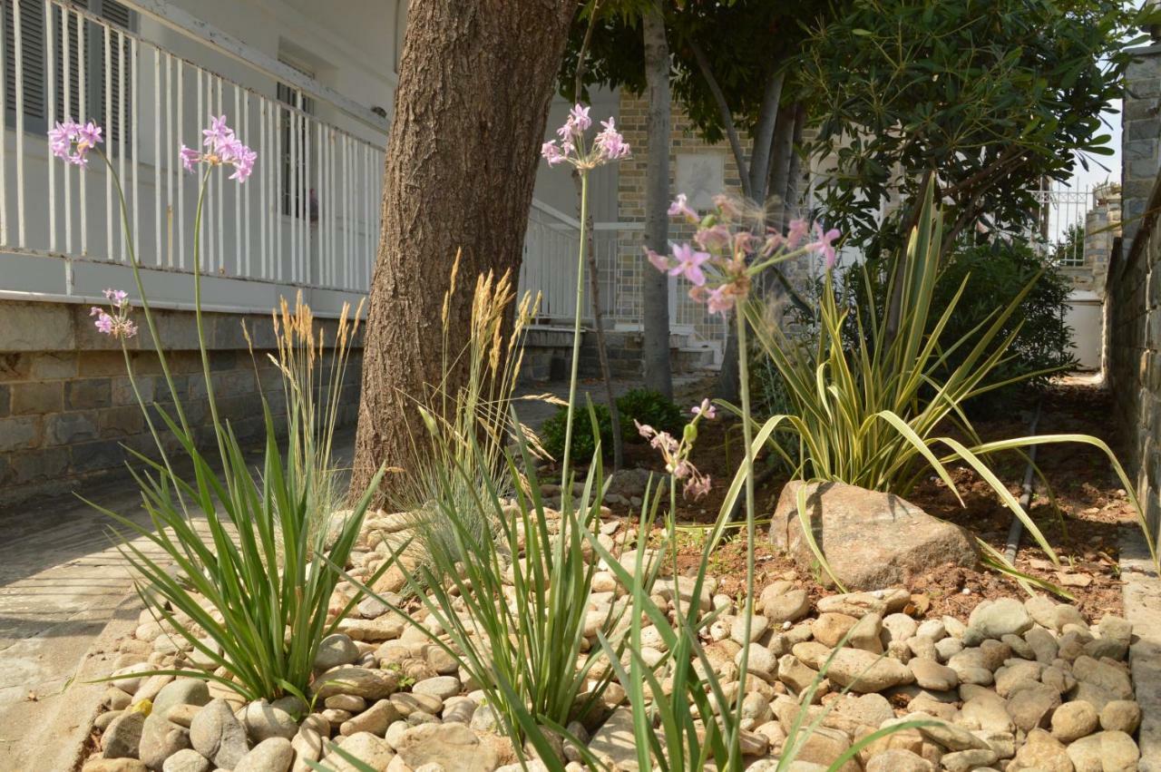 Antony Apartments Nea Plagia Dış mekan fotoğraf